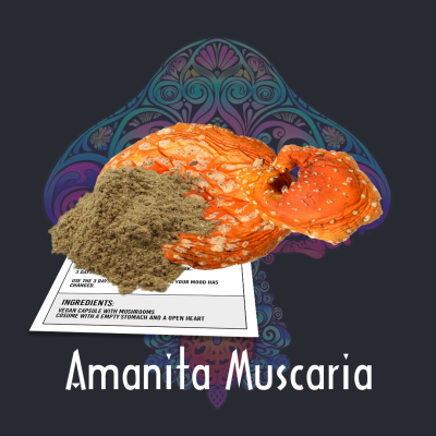Free Gift with Purchase of Amanita Muscaria Fairy Photo
