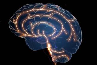 Effects of Psilocybin-Assisted Therapy on Major Depressive Disorder - Johns Hopkins University